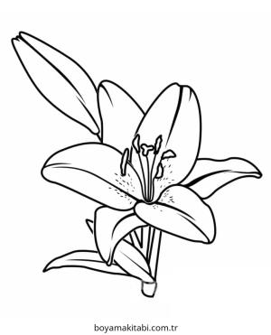 Zambak boyama sayfası – PDF indir, sevimli karakter