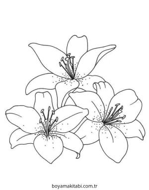 Zambak boyama sayfası – el becerilerini geliştirir, boyama çalışması