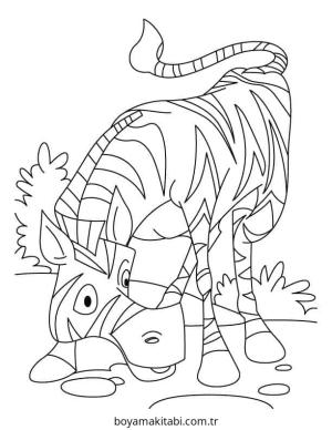 Zebra Boyama