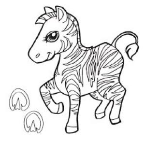 Zebra boyama sayfası, Zebra coloring page, Küçük Zebra, 