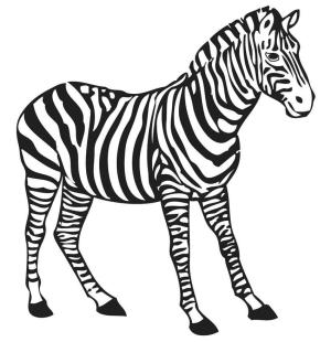 Zebra boyama sayfası, Zebra coloring page, Havalı Zebra, 