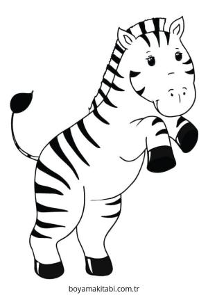Zebra Boyama