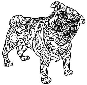 Zentangle boyama sayfası,  coloring page, Pug zentangle, 