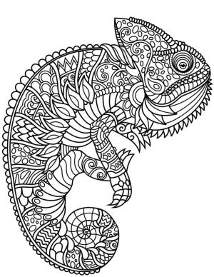 Zentangle boyama sayfası,  coloring page, Bukalemun zentangle, 