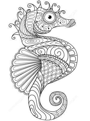 Zentangle boyama sayfası,  coloring page, Zentangle denizatı, 