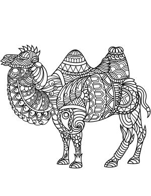 Zentangle boyama sayfası,  coloring page, Baktriya Devesi Zentangle, 