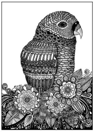 Zentangle boyama sayfası,  coloring page, Kuş zentangle, 