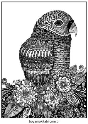 Zentangle boyama sayfası – boyama çalışması, yaratıcılığı geliştirir