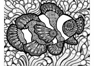 Zentangle boyama sayfası,  coloring page, Palyaço balığı zentangle, 