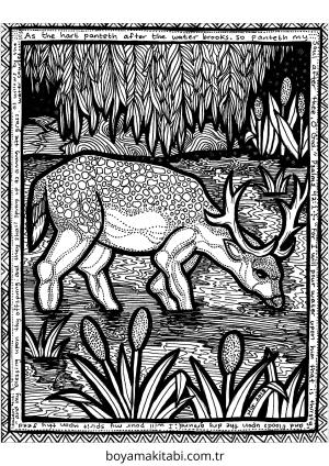 Zentangle boyama sayfası – eğlenceli etkinlik, el becerilerini geliştirir