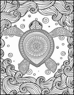 Zor boyama sayfası,  coloring page, Kaplumbağa Sert, 