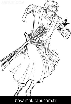 Roronoa Zoro Boyama