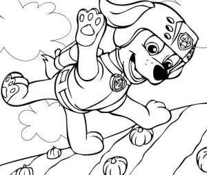 Zuma Paw Patrol boyama sayfası,  coloring page, Zuma Havada Uçuyor, 