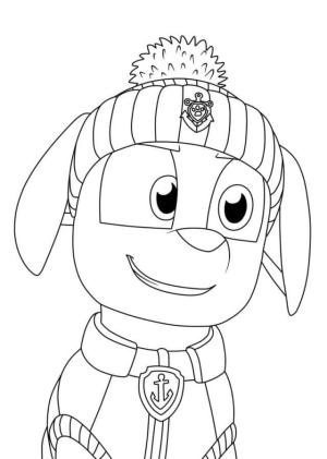 Zuma Paw Patrol boyama sayfası,  coloring page, Zuma Portresi, 