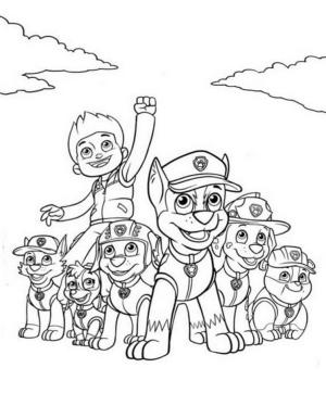 Zuma Paw Patrol boyama sayfası,  coloring page, Harika Zuma ve ekibi, 