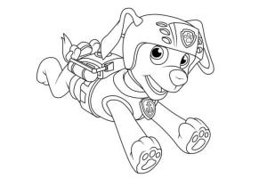 Zuma Paw Patrol boyama sayfası,  coloring page, Zuma Koşuyor, 