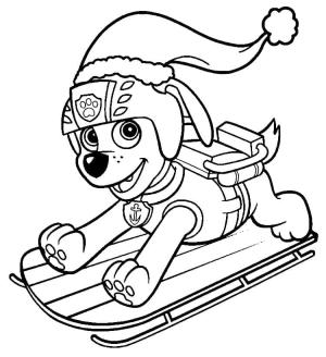 Zuma Paw Patrol boyama sayfası,  coloring page, Kızakta Zuma Paw Patrol, 