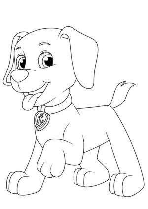 Zuma Paw Patrol boyama sayfası,  coloring page, Büyük Zuma, 