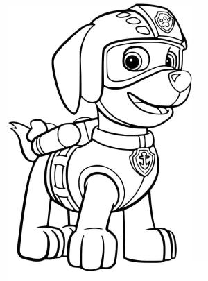 Zuma Paw Patrol boyama sayfası,  coloring page, Zuma gülümsüyor, 