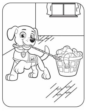 Zuma Paw Patrol boyama sayfası,  coloring page, Zuma Bir Sepet Elbise Taşıyor, 