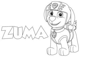 Zuma Paw Patrol boyama sayfası,  coloring page, Eğlenceli Zuma, 