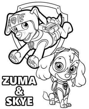 Zuma Paw Patrol boyama sayfası,  coloring page, Zuma ve Sky, 