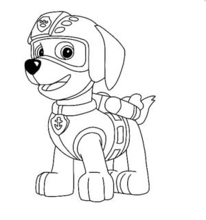 Zuma Paw Patrol boyama sayfası,  coloring page, Ücretsiz Zuma, 