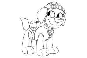 Zuma Paw Patrol boyama sayfası,  coloring page, Güzel Zuma, 