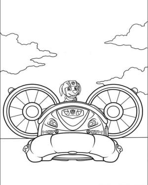 Zuma Paw Patrol boyama sayfası,  coloring page, Teknedeki Zuma, 