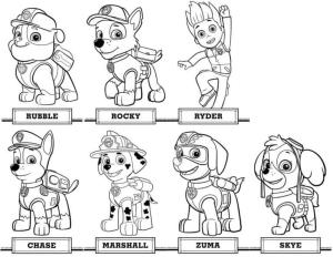 Zuma Paw Patrol boyama sayfası,  coloring page, Zuma ve Arkadaşları yazdırılabilir, 