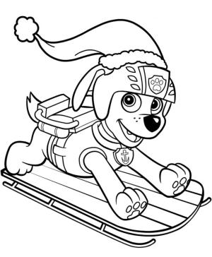 Zuma boyama sayfası,  coloring page, Zuma Kızağı, 