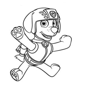 Zuma boyama sayfası,  coloring page, Sevimli Zuma Pençe Devriyesi, 