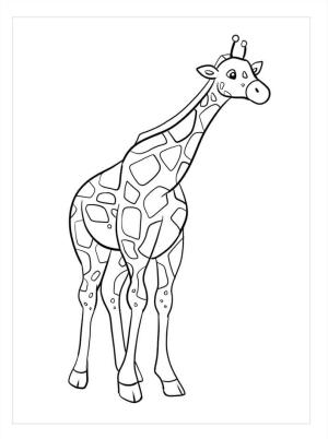 Zürafa boyama sayfası, Giraffes coloring page, Güzel Zürafa, 