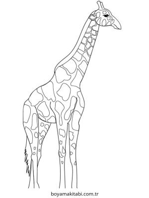 Zürafa Boyama