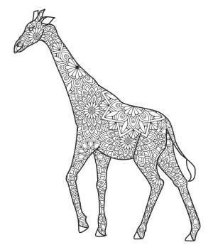 Zürafa boyama sayfası, Giraffes coloring page, Zürafa Mandala, 