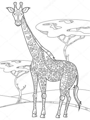 Zürafa boyama sayfası, Giraffes coloring page, Çayırda duran Zürafa, 