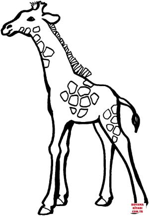 Zürafa boyama sayfası, Giraffes coloring page, , giraffes baby giraffe 