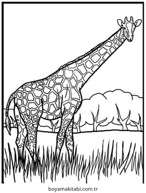 Zürafa boyama sayfası – boyama çalışması, yaratıcılığı geliştirir