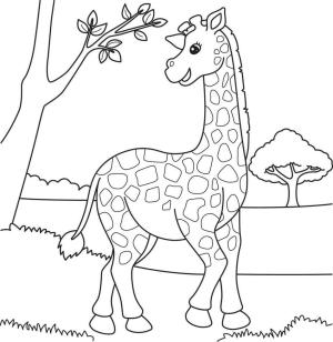 Zürafa boyama sayfası, Giraffes coloring page, Zürafa Bedava Resimler, 