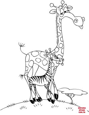 Zürafa boyama sayfası, Giraffes coloring page, , giraffes cartoon giraffe with a zebra 