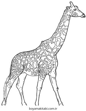 Zürafa Boyama