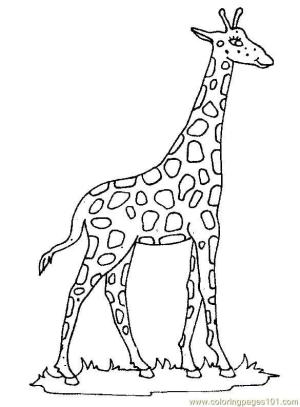 Zürafa boyama sayfası, Giraffes coloring page, Iyi Zürafa, 