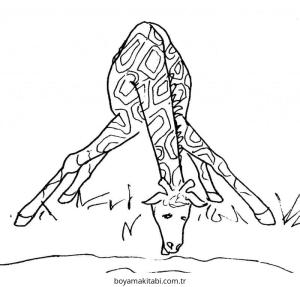 Zürafa boyama sayfası – evde etkinlik, ücretsiz yazdır