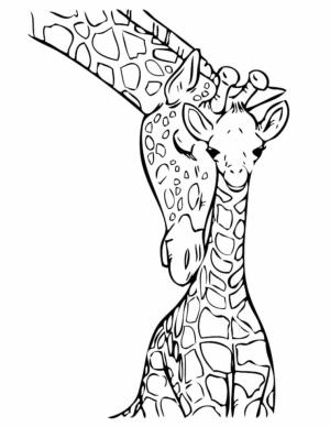 Zürafa boyama sayfası, Giraffes coloring page, Sevimli Iki Zürafa, 