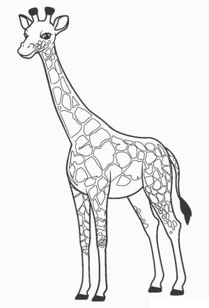 Zürafa boyama sayfası, Giraffes coloring page, Temel Zürafa, 