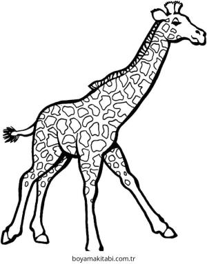 Zürafa Boyama