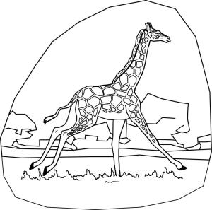 Zürafa boyama sayfası, Giraffes coloring page, Zürafa Koşu, 