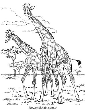 Zürafa Boyama