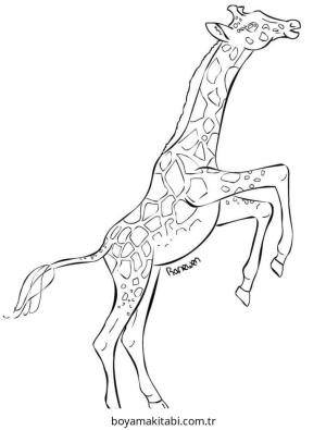 Zürafa Boyama