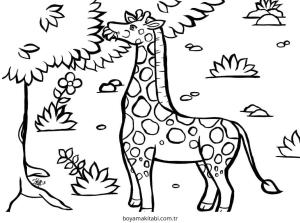 Zürafa boyama sayfası – renkli çizimler, okul öncesi